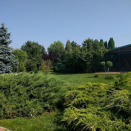Casa Cu Pauni Hotel Maracineni Екстериор снимка
