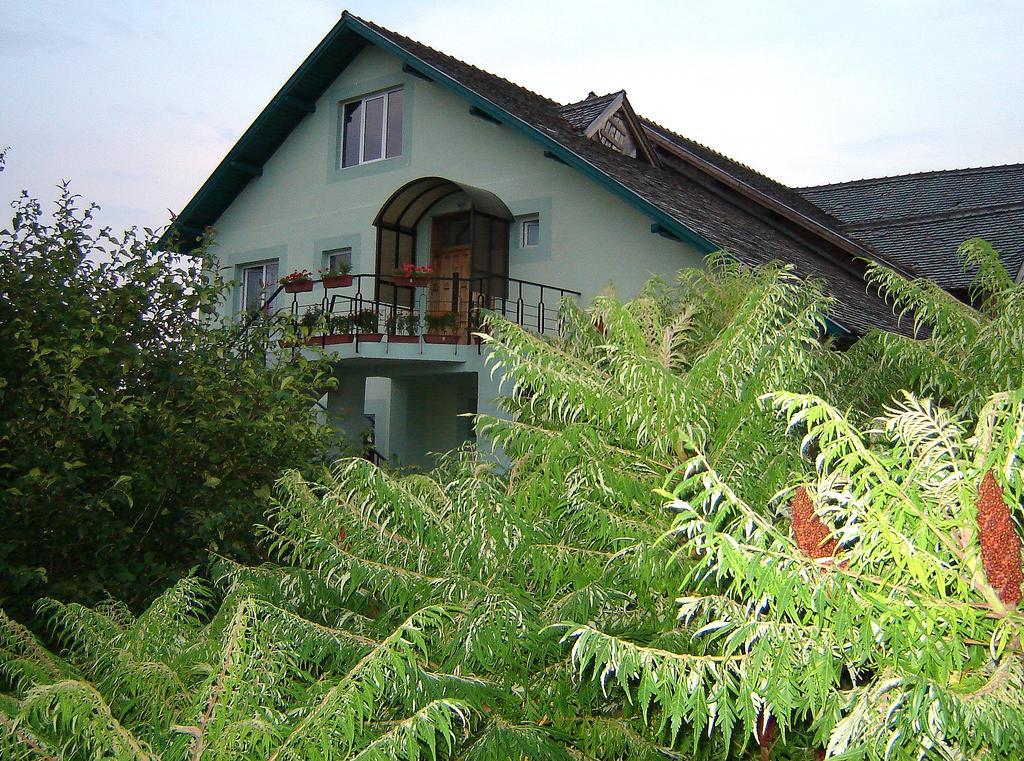 Casa Cu Pauni Hotel Maracineni Екстериор снимка
