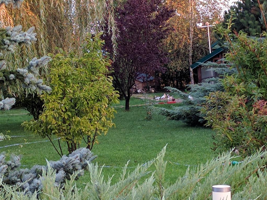 Casa Cu Pauni Hotel Maracineni Екстериор снимка
