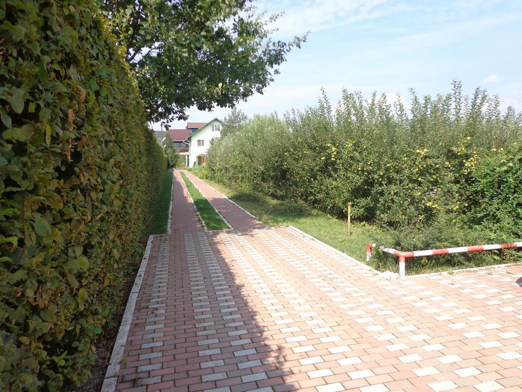 Casa Cu Pauni Hotel Maracineni Екстериор снимка