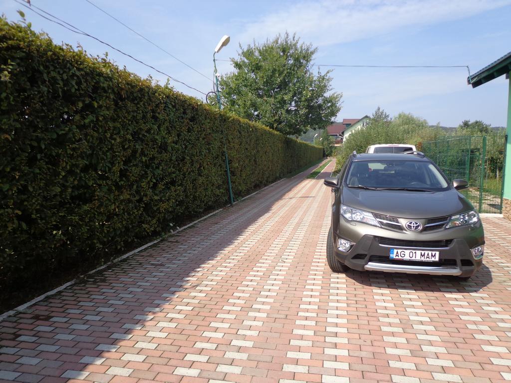 Casa Cu Pauni Hotel Maracineni Екстериор снимка