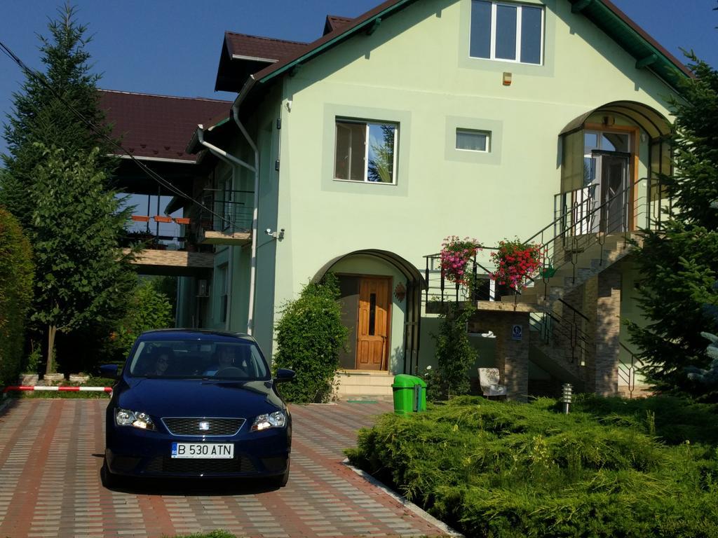 Casa Cu Pauni Hotel Maracineni Екстериор снимка