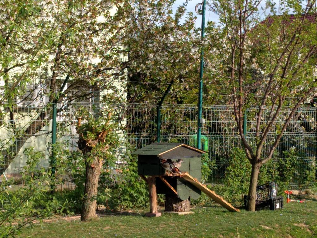 Casa Cu Pauni Hotel Maracineni Екстериор снимка