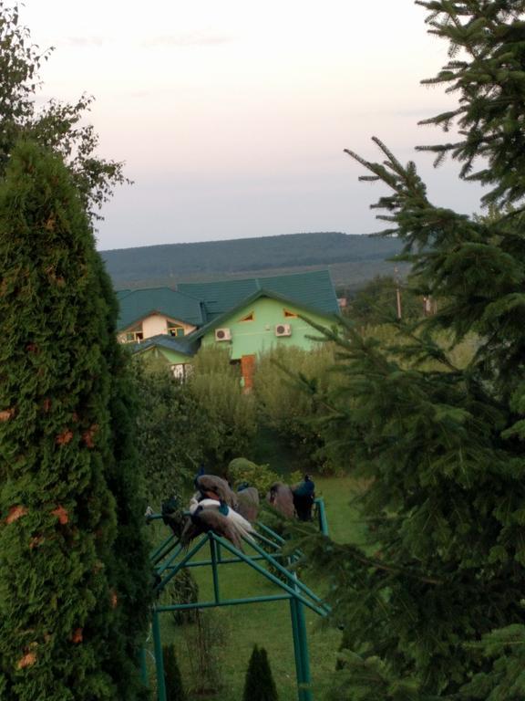 Casa Cu Pauni Hotel Maracineni Екстериор снимка